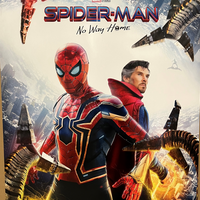 Spider-Man: No Way Home (Dr Strange) Signed Poster